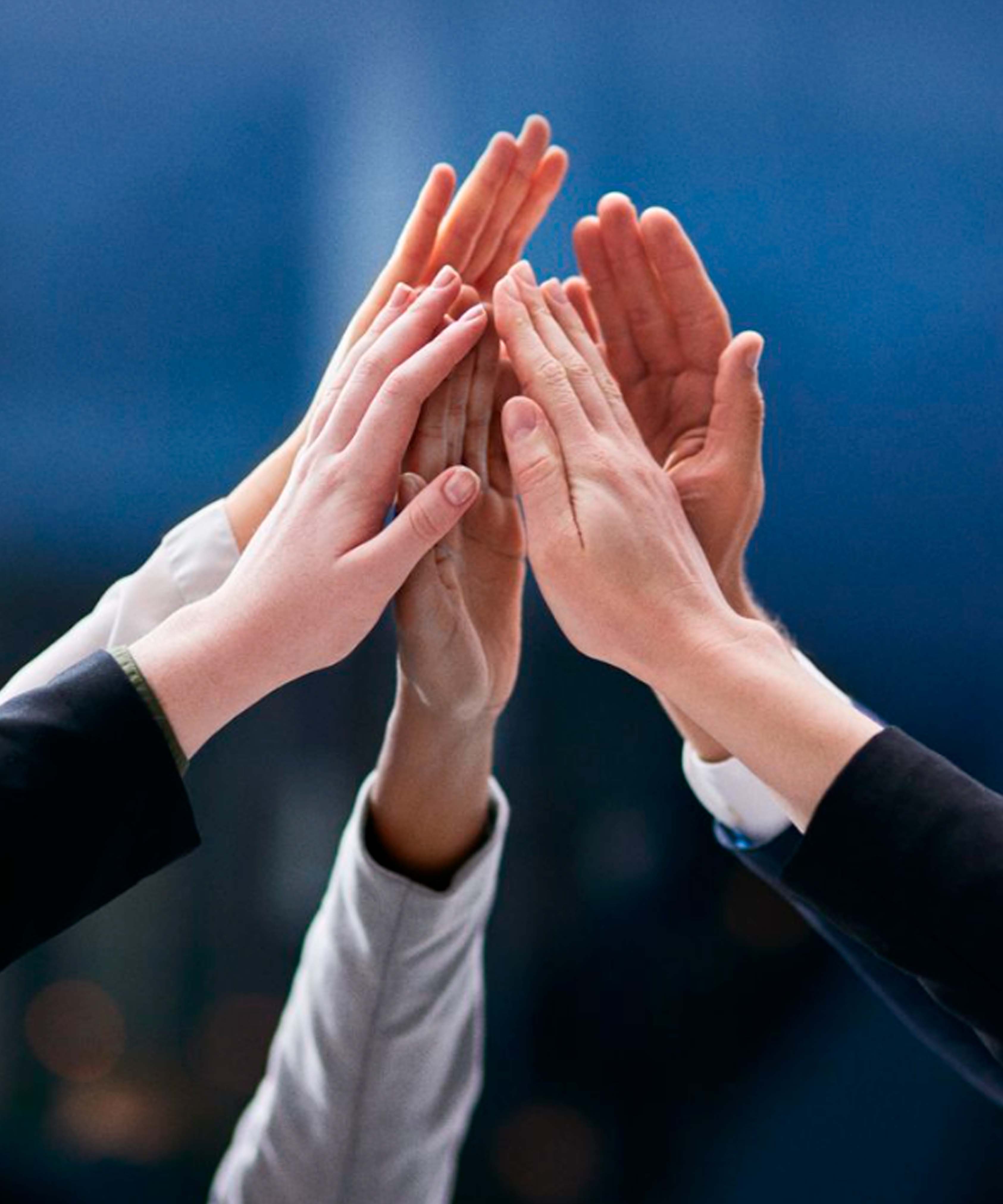 Наша команда